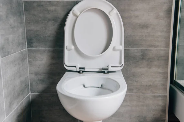 toilet vervangen